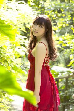 知否知否应是绿肥红瘦