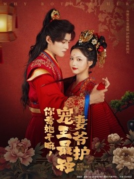 你惹她干嘛，寵妻王爺最護短